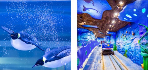 上海海昌极地海洋世界维生系统
