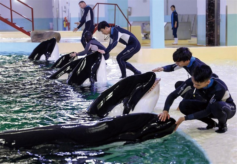 厦门大学海洋国家重点实验室海洋生态环境室内模拟系统