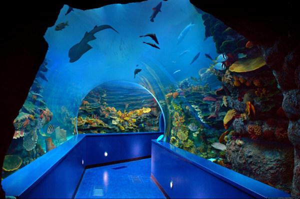 阿联酋沙迦水族馆