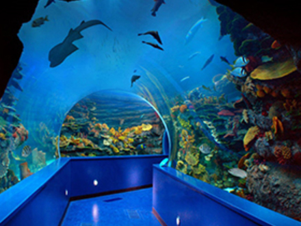 阿联酋沙迦水族馆