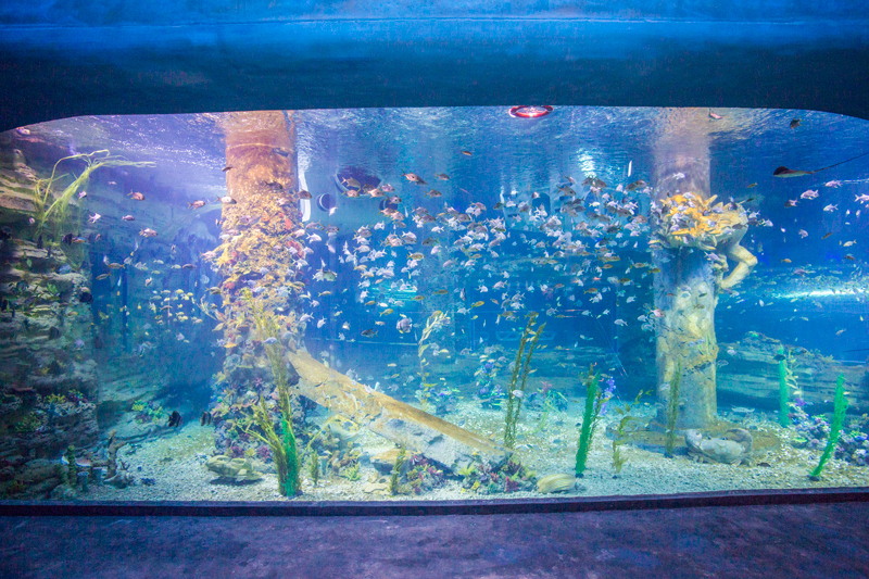 水族馆维生系统