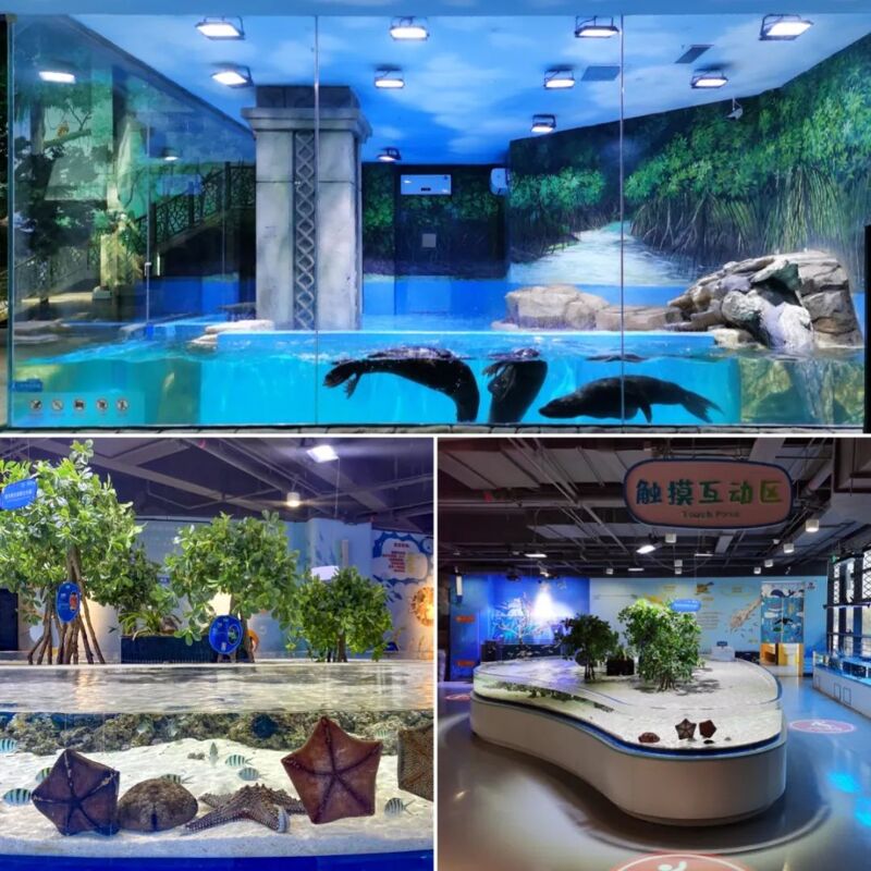 南京华侨城欢乐谷海洋馆建设实例图