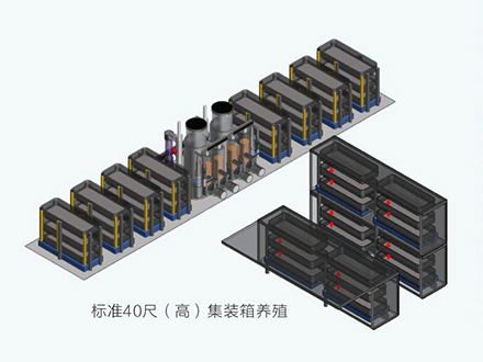 立体式工厂化循环水养殖系统