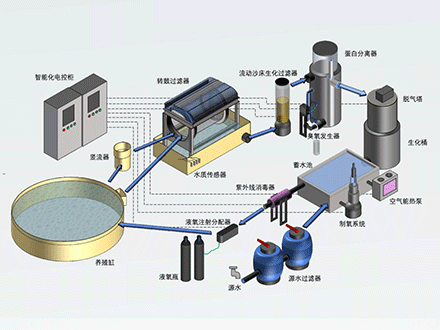 RAS工厂化养殖系统